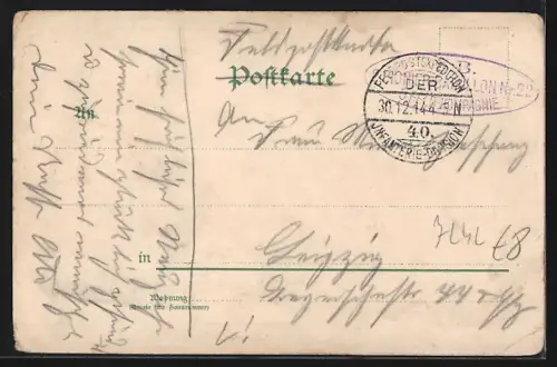 Lithographie Colditz, Ortsansicht mit Burg