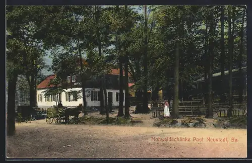 AK Neustadt / Sachsen, Pferdekutsche am Gasthaus Hohwaldschänke
