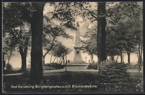 AK Bad Harzburg, Burgbergplateau mit der Bismarcksäule