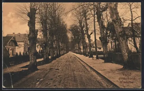 AK Varel / Oldenburg, Blick in die Strasse Windallee