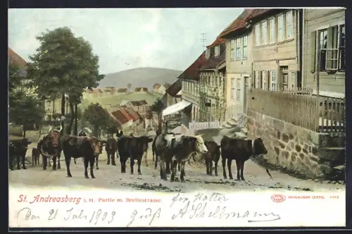 AK St. Andreasberg i. H., Partie mit Breitestrasse
