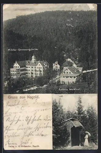 AK Nagold, Militär-Genesungsheim, Kurhaus Waldlust aus der Vogelschau