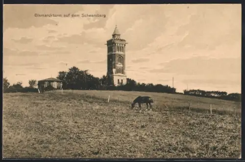 AK Scheersberg, Blick auf den Bismarckturm