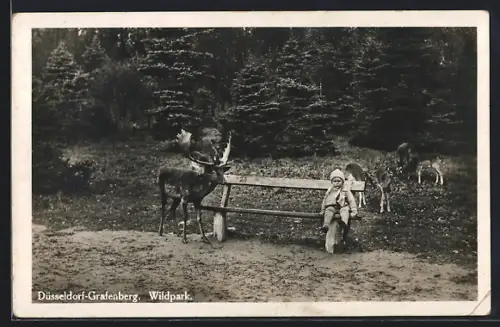AK Düsseldorf-Grafenberg, Kleinkind auf Parkbank sitzend mit Hirsch und Rehen im Wildpark