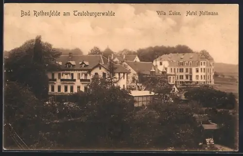 AK Bad Rothenfelde /Teutoburger Wald, Hotel Nollmann und Villa Luise