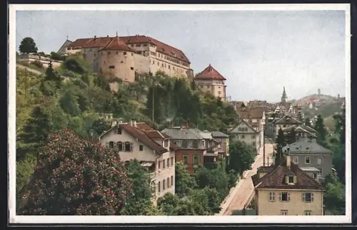 AK Tübingen, Blick auf die Neckarhalde und Schloss