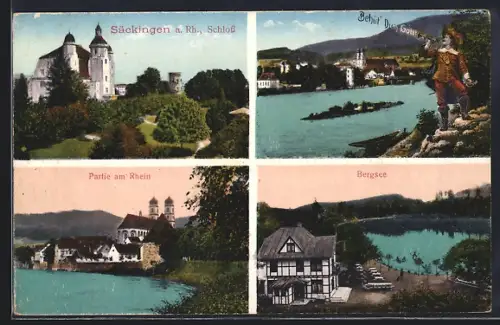 AK Säckingen a. Rhein, das Schloss, am Bergsee, Kirche am Rheinufer
