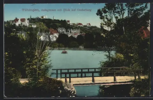 AK Tübingen, Anlagensee mit Blick auf Oesterberg