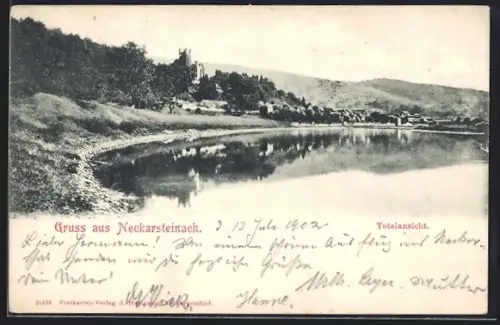 AK Neckarsteinach, Totalansicht