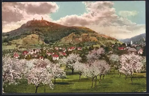 AK Auerbach / Bergstrasse, Schloss, Frühling an der Bergstrasse