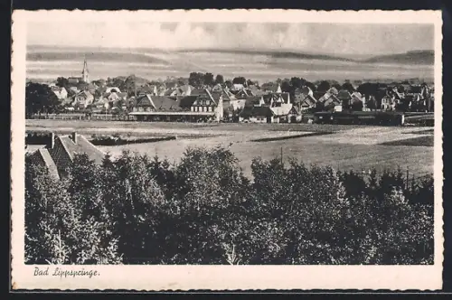 AK Bad Lippspringe, Ortsansicht mit umliegenden Feldern