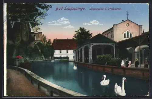 AK Bad Lippspringe, Lippequelle und Trinkhalle mit Schwänen und Gästen