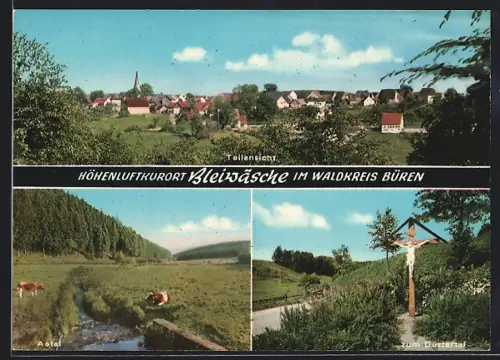 AK Bleiwäsche /Kr. Büren, Teilansicht, Zum Düstertal und Kühe auf der Weide