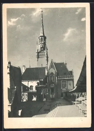 AK München, Strasse Am Petersberg