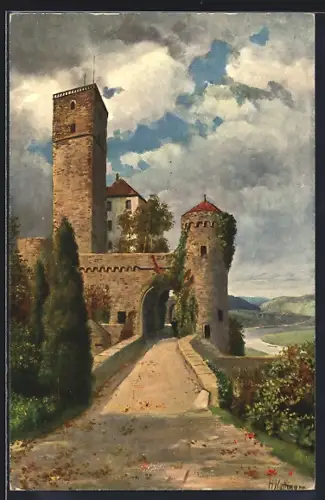 Künstler-AK H. Hoffmann: Schloss Guttenberg am Neckar