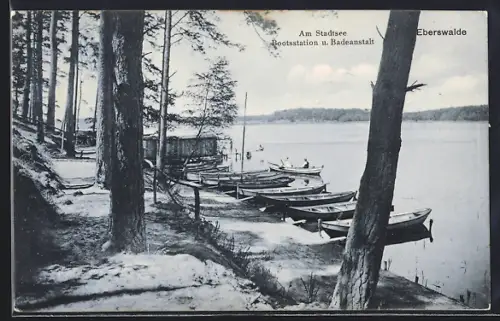 AK Eberswalde, Stadtsee, Bootsstation, Badeanstalt