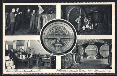 AK Mayschoss /Ahr, Winzer-Verein, Weinkeller, Flaschenabfüllung, grösster Winzerverein Deutschlands