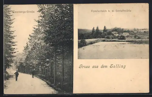 AK Solling, Speerbergs-Strasse, Forellenteich bei der Schleifmühle