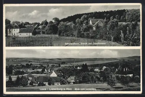 AK Lewe-Liebenburg a. Harz, Schloss, Oberförsterei, Blick vom Lewerberg