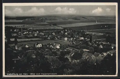 AK Liebenburg am Harz, Blick vom Hausmannsturm