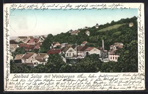 AK Bad Sulza, Weinberge