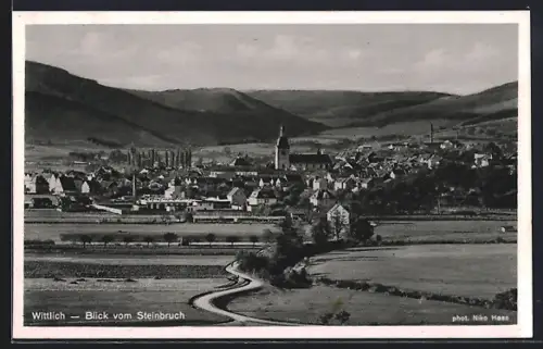AK Wittlich, Blick vom Steinbruch