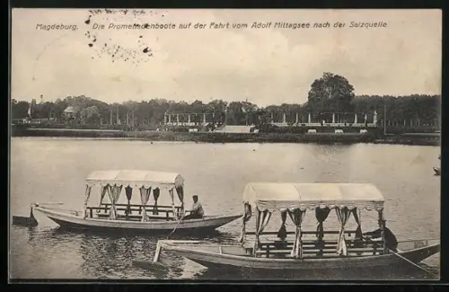 AK Magdeburg, Promenadenboote auf dem Adolf-Mittag-See und Salzquelle