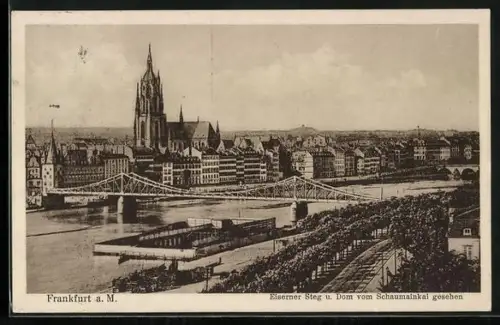 AK Alt-Frankfurt, Eiserner Steg, Dom, Blick vom Schaumainkai