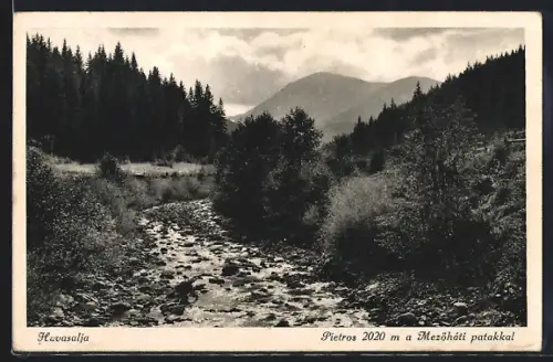 AK Havasalja, Pietros 2020 m a Mezöhati patakkal