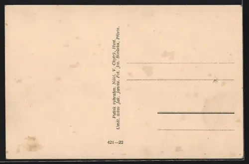 AK Hust, Celkovy pohled