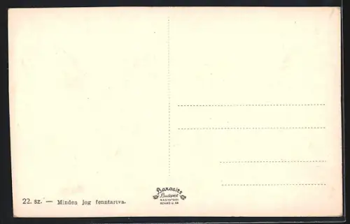 AK Munkacs, Kossuth Lajos-utca