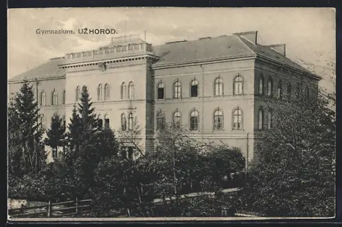 AK Uzhorod, Gymnasium