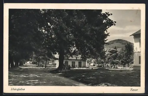 AK Hársfalva, Fasor