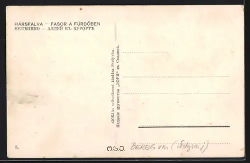 AK Hársfalva, Fasor