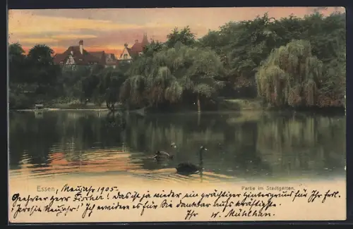 AK Essen, Partie im Stadtgarten