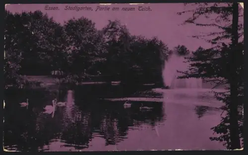 AK Essen, Stadtgarten, Partie am neuen Teich