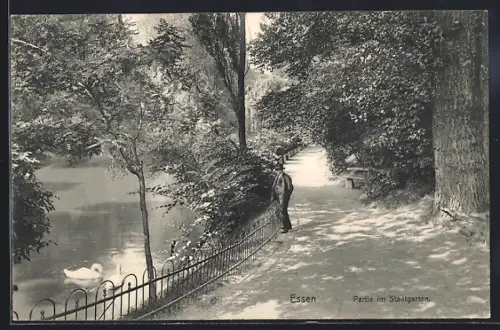 AK Essen, Partie im Stadtgarten