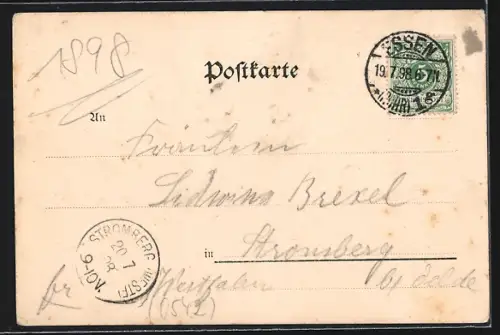 AK Essen a. d. R., Stadtgarten