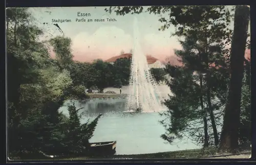 AK Essen, Stadtgarten, Partie am neuen Teich