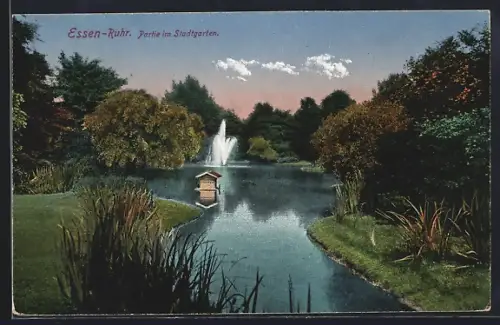 AK Essen-Ruhr, Partie im Stadtgarten