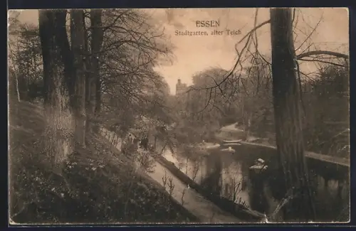 AK Essen, Stadtgarten, alter Teich