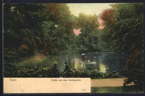 AK Essen, Partie aus dem Stadtgarten