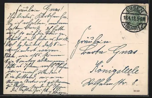 AK Essen /Ruhr, Partie im Stadtgarten