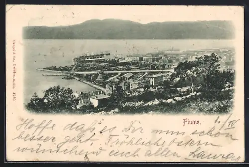 AK Fiume, Panorama