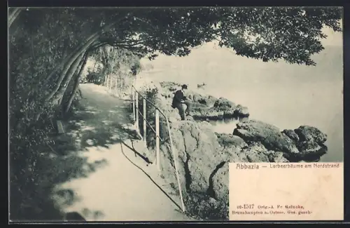 AK Abbazia, Lorbeerbäume am Nordstrand
