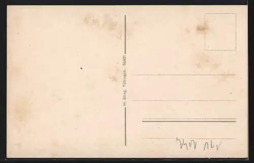 AK Rottenburg a. N., Ortansicht mit Neckar