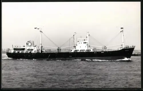 Fotografie Schiff Dampfer Stella Baujahr 1956