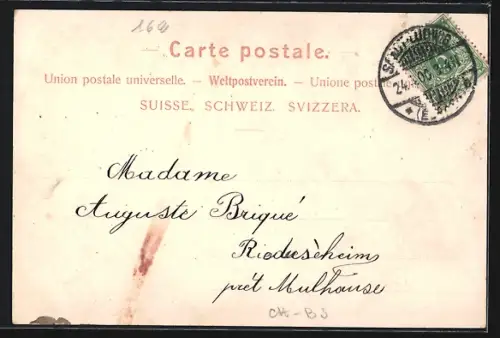 Lithographie Basel, Kirche, Denkmal und Napoleon in Jahreszahl 1900, Passepartout