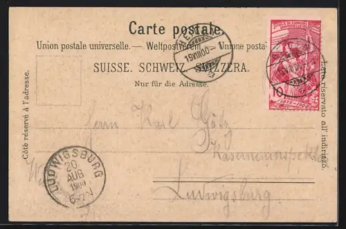 Lithographie Heiden, Totale von der Bergwiese aus gesehen