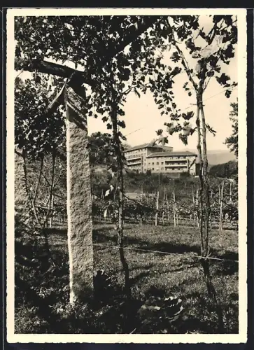 AK Sorengo-Lugano, Clinica St. Anna